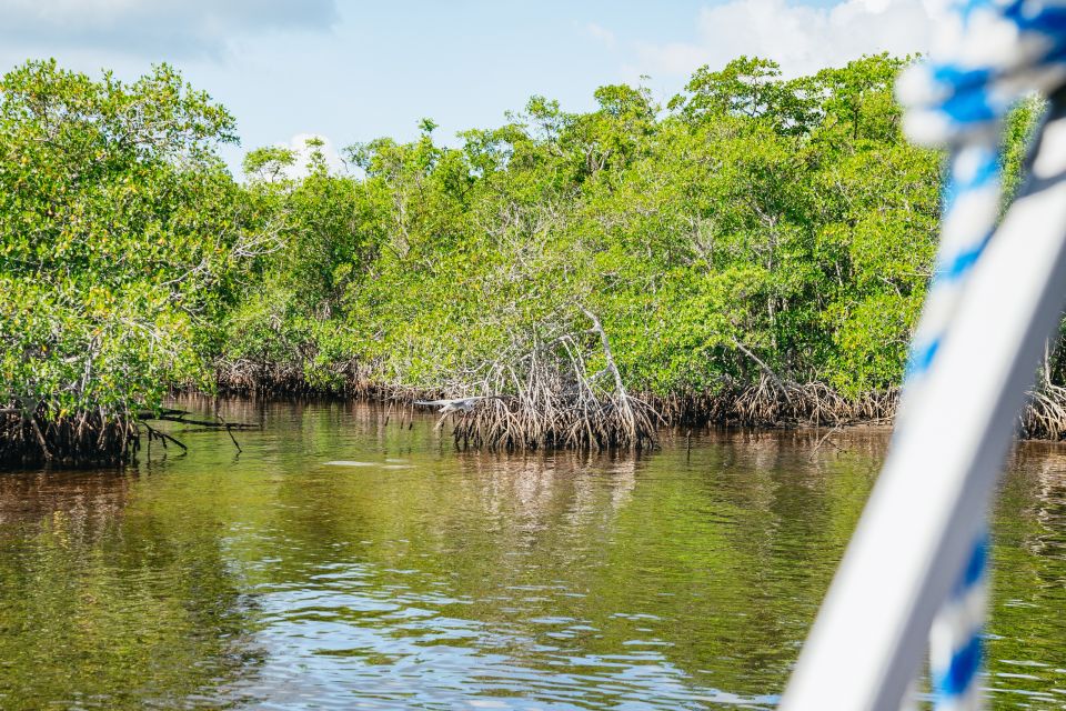 Naples, Florida: Manatee Sightseeing and Wildlife Boat Tour - Logistics and Requirements