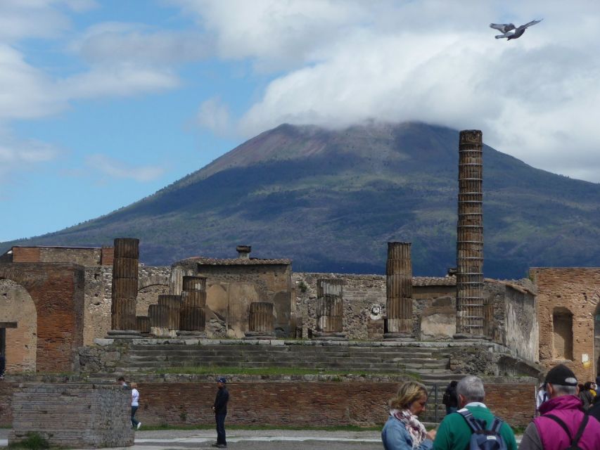 Naples: Pompeii & Wine Tasting Private Day Tour Small Group - Booking Information