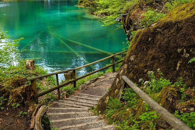 Nature Park Blue Lake, Suspension Bridge and City of Thun - Flora and Fauna: Natures Wonders