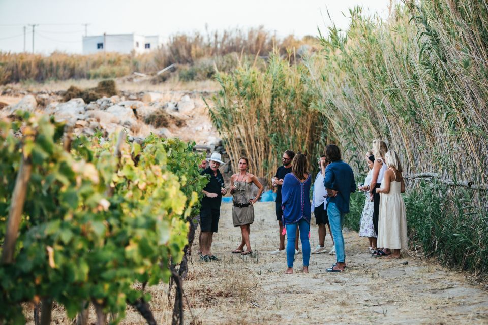 Naxos: Full Moon Dinner and Wine Tasting in a Vineyard - Pricing and Reservations