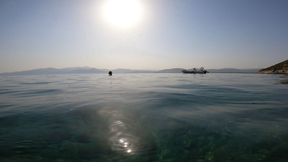 Nea Makri: Marathon Cape & Bay of Schinias Snorkeling Trip - Additional Information