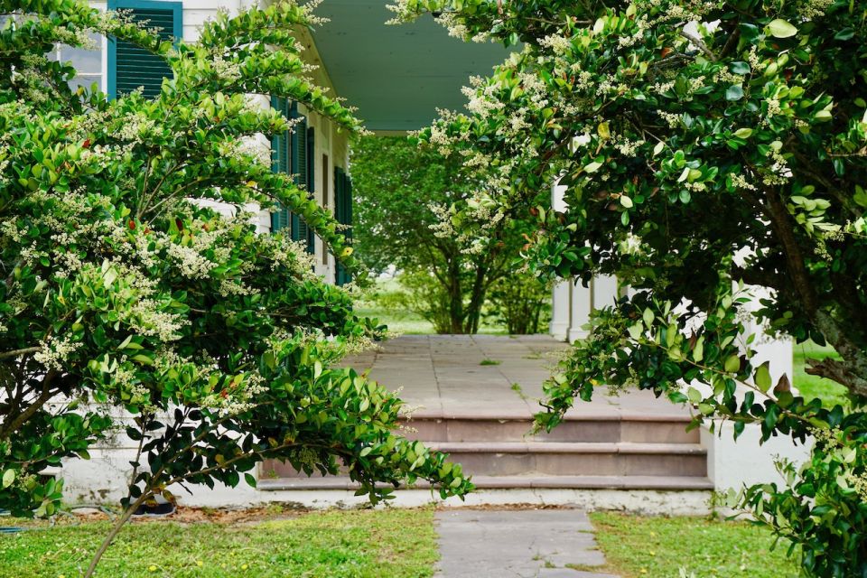 New Orleans: Felicity Plantation Guided Tour - Location Details