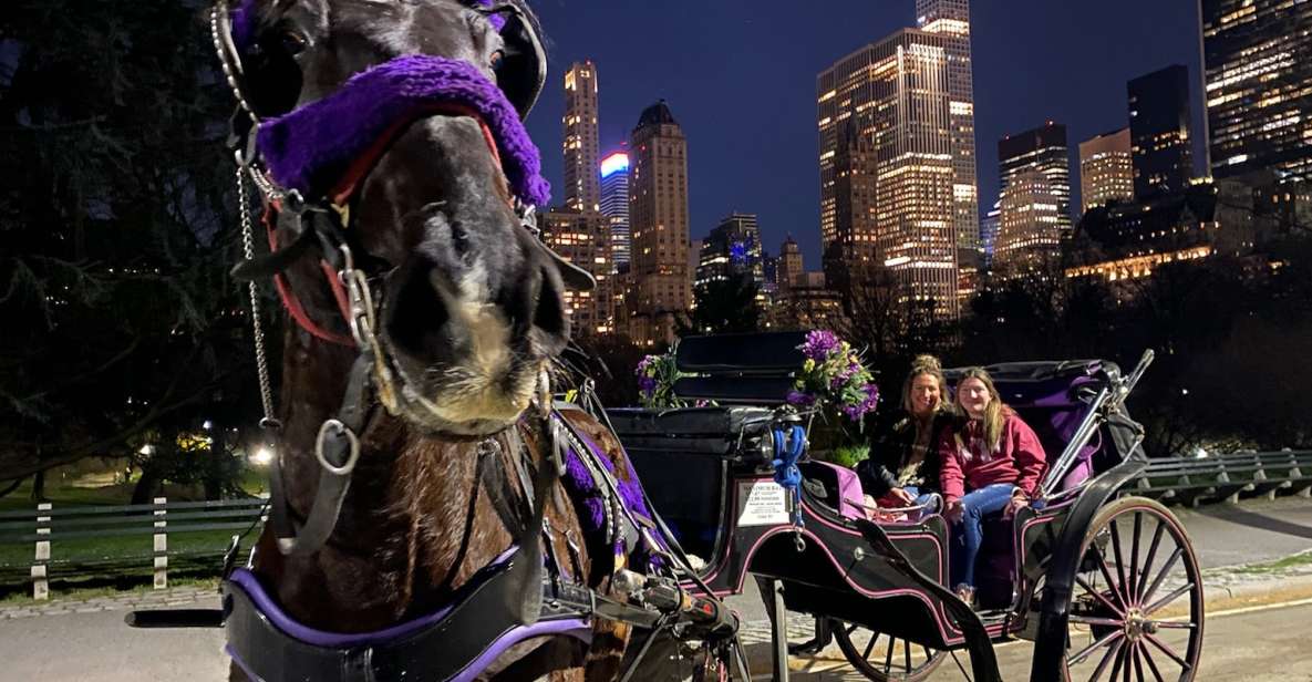 New York City: Private Horse Carriage Tour - Additional Information