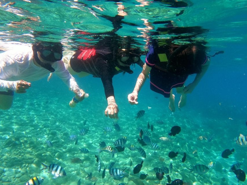 Nha Trang Half Day Snorkeling Trip - Review Summary