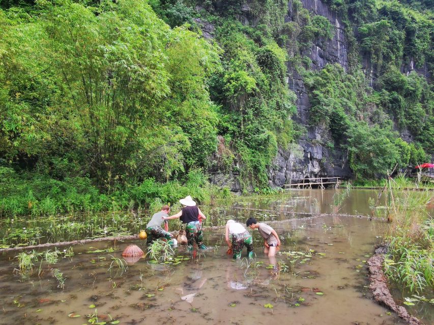 Ninh Binh Farm Trip: Experience the Authentic Rural Life - Emperor Dinh Tien Hoang Temple Visit