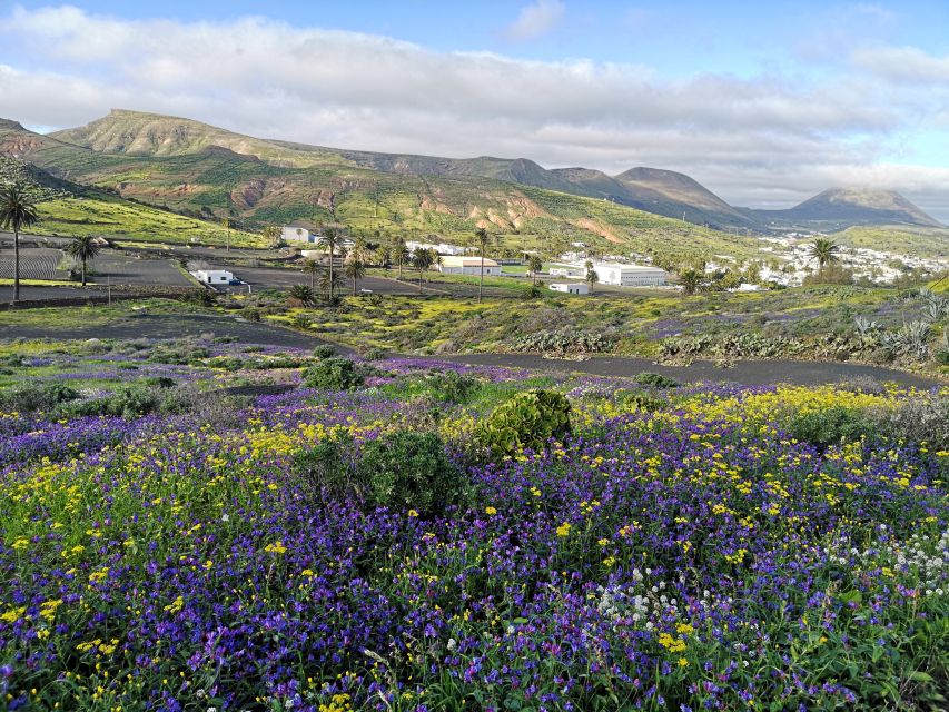 North Lanzarote: Cave, Jameos Del Agua, and Viewpoint - Last Words