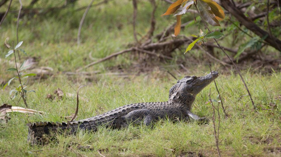 Northern Territory: Corroboree Billabong Nature Cruises - Meetings and Important Information