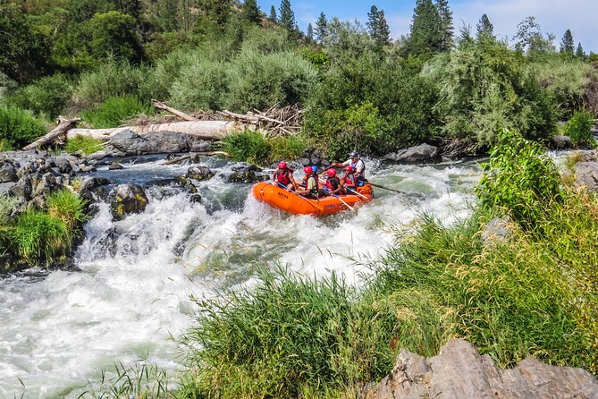 Nugget Falls Class IV Half-Day Rafting on the Rogue RIVer - Pricing and Reviews