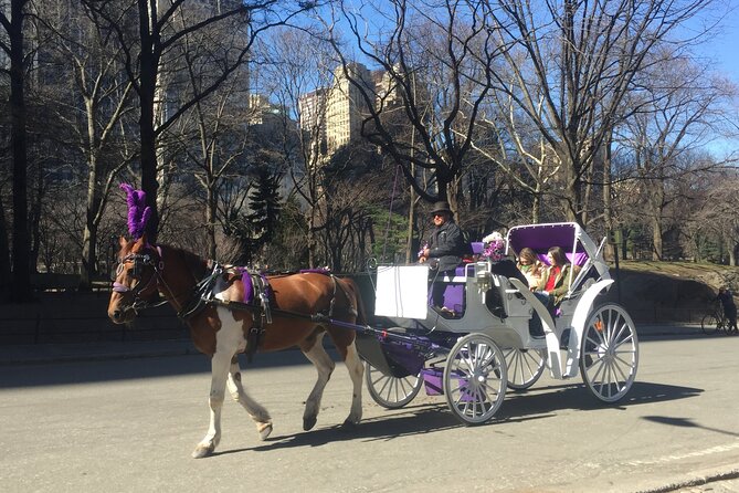 NYC Central Park Horse and Carriage Ride: Long Ride 45 Min - Address and Contact Information