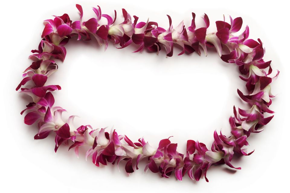 Oahu: Honolulu Airport (HNL) Traditional Lei Greeting - Customer Reviews