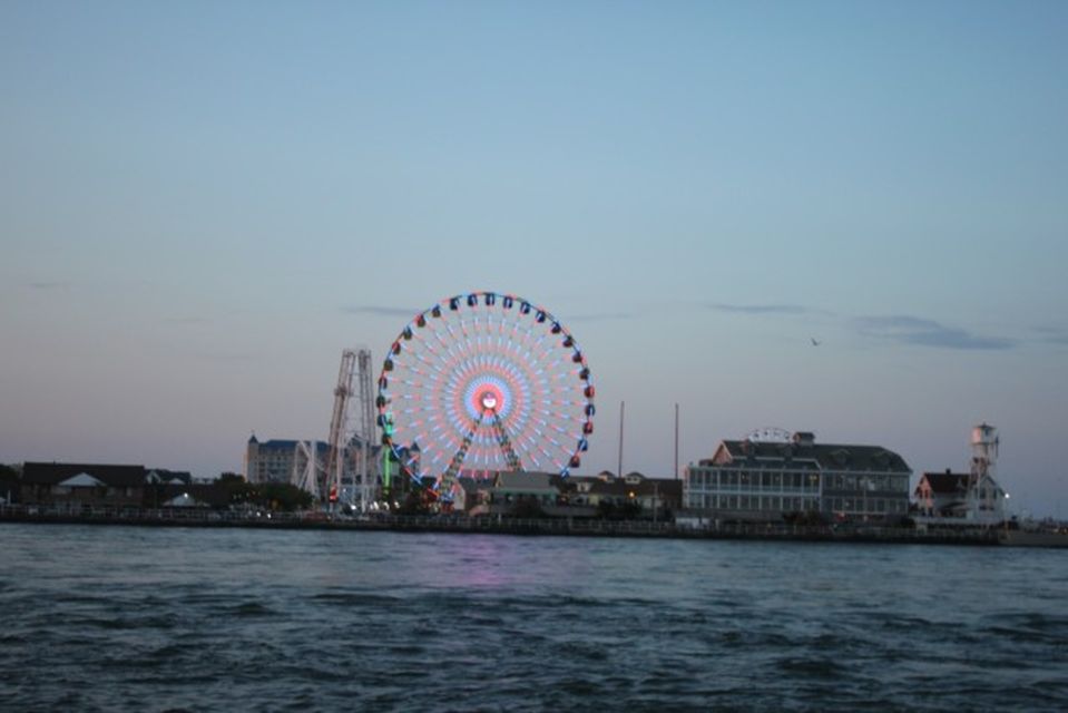 Ocean City: High-Speed Sunrise Cruise and Dolphin Watching - Live Tour Guide Information