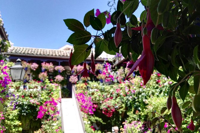 Off the Beaten Path. Cordoba Patios Private Tour - Cancellation Policy Information