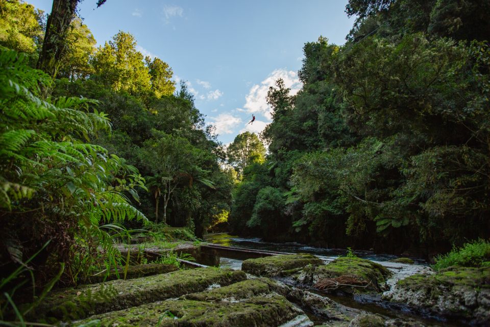 Okere Falls: Zipline Over Waterfalls Experience - Environmental and Cultural Aspects