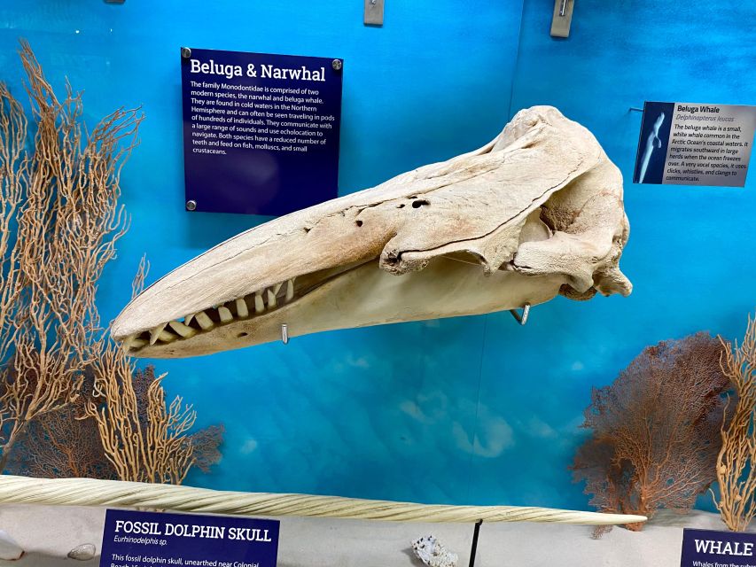 Oklahoma City: SKELETONS: Museum of Osteology Ticket - Location and Details