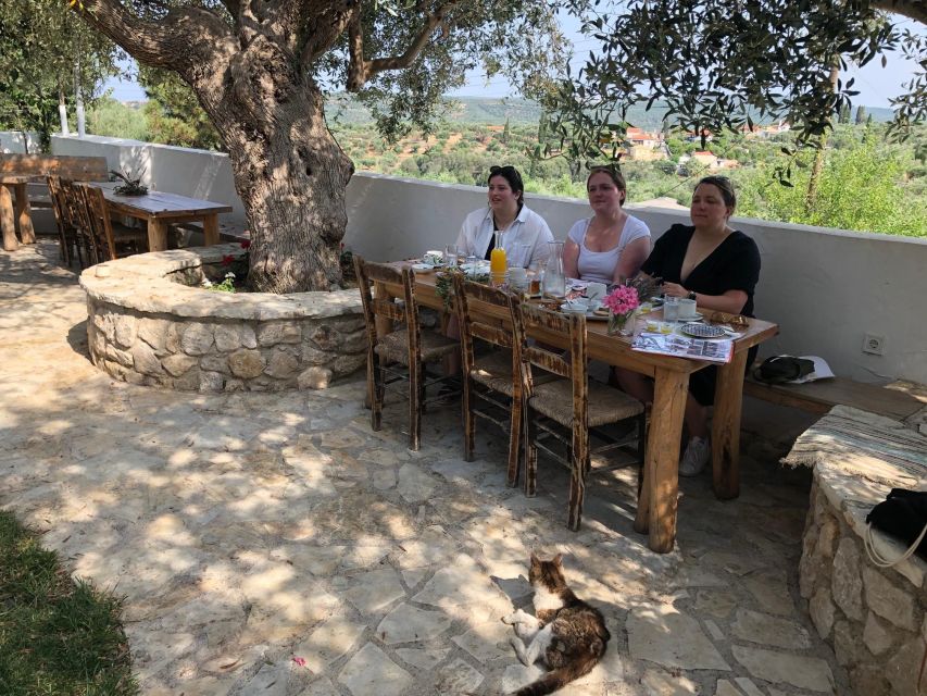 Olive Grove Tour & Olive Oil Tasting and Lunch in Messinia - Cancellation Policy and Booking Process