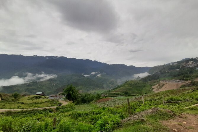 One Day Trekking in Sapa and Muong Hoa Valley With Local Guide - Common questions