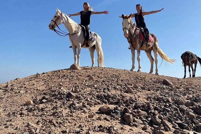 One Hour Horse or Camel Riding With Transfer- Sharm El-Sheikh - Family-Friendly Features