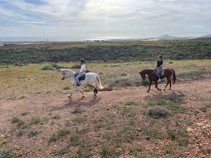 One Hour Horse Riding Tour in Gran Canaria - Restrictions