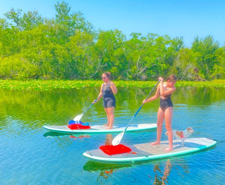 Orlando: Clear Kayak and Paddleboard 2-Hour Rental - Scenic Beauty