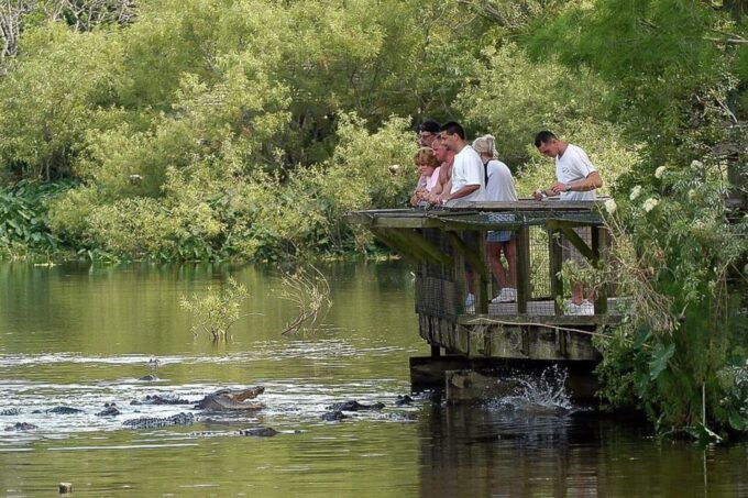 Orlando: Gatorland Skip-the-Line Ticket - Gatorland Overview