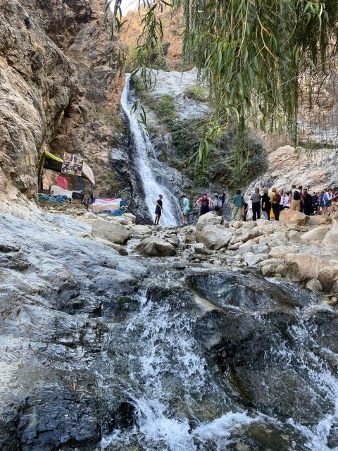 Ourika Valley & Waterfalls Day Trip From Marrakech - Feedback and Recommendations