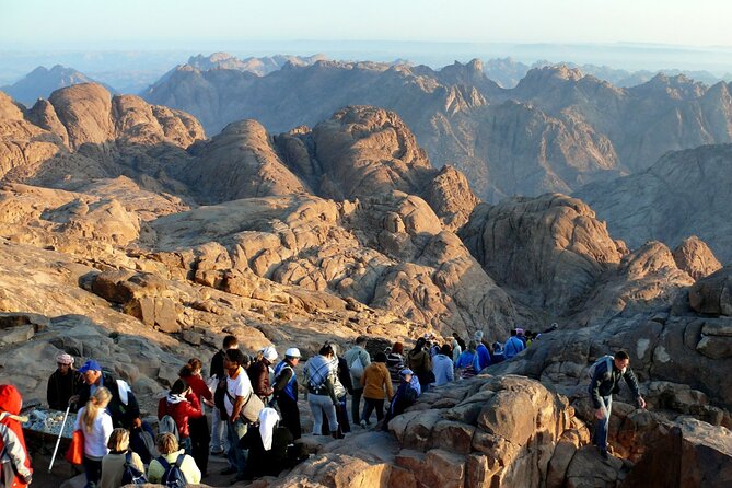Overnight Sunrise Tour to Mount Sinai From Sharm El Sheikh - Customer Support