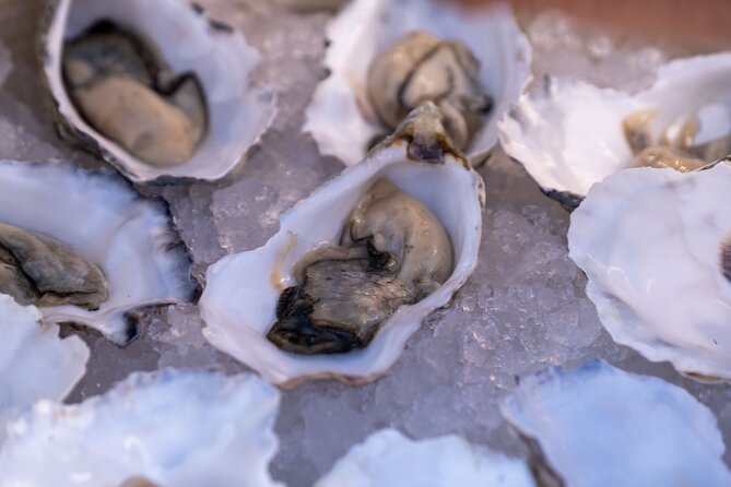 Oysters and Bubbles Sailing Experience in Vilamoura - Sailing Itinerary and Duration