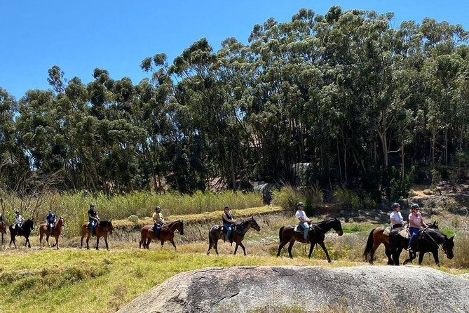 Paarl Small-Group Horseback Riding Tour  - Stellenbosch - Weather Considerations