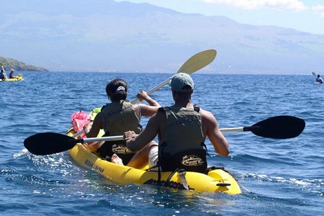 Paddle, Snorkel and Learn to Surf - All in a Day on Maui (South Side) - Customer Feedback and Reviews