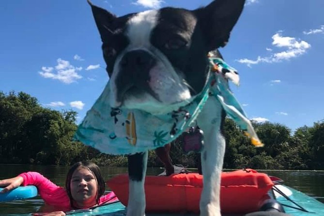 Paddleboarding With Dogs and Rabbits  - Orlando - Cancellation Policy Highlights