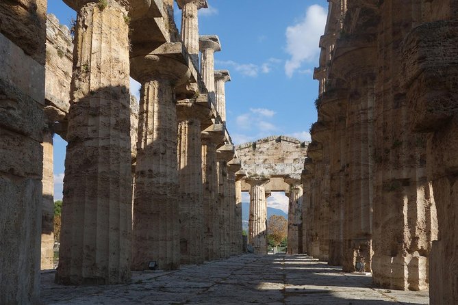 Paestum Private: Temples & Archaeological Museum With Your Local Archaeologist - Cancellation Policy