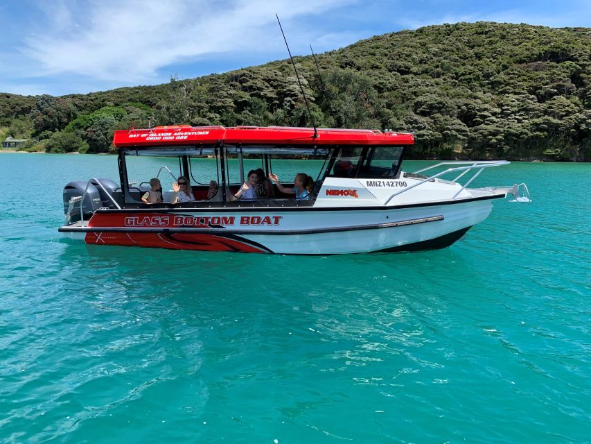 Paihia: Glass Bottom Boat Tour to the Hole in the Rock - Review and Ratings