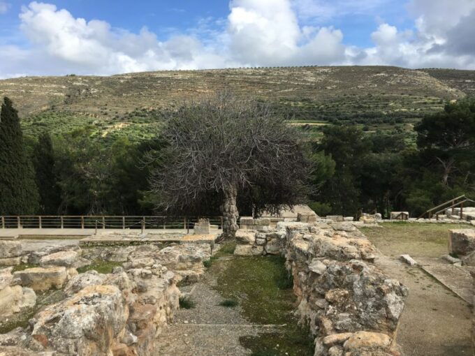 Palace of Knossos Small Group Tour - Important Information