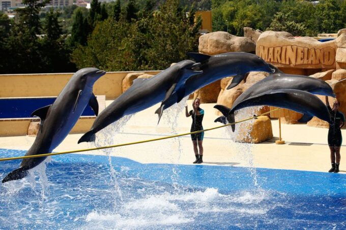 Palafolls: Marineland Dolphinarium and Water Park Tickets - Duration and Benefits