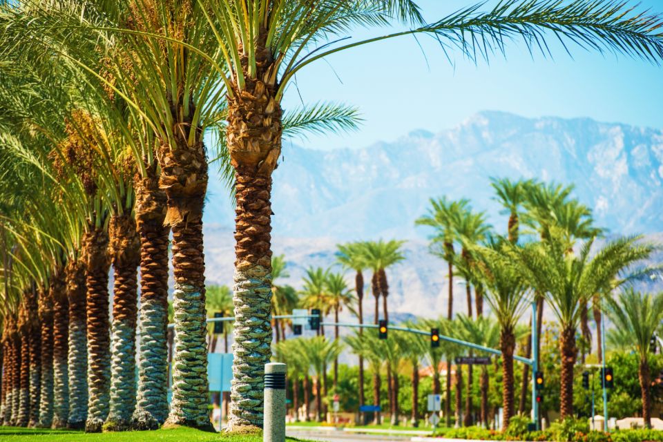 Palm Springs & Joshua Tree: National Park Self-Guided Tours - Activity Details