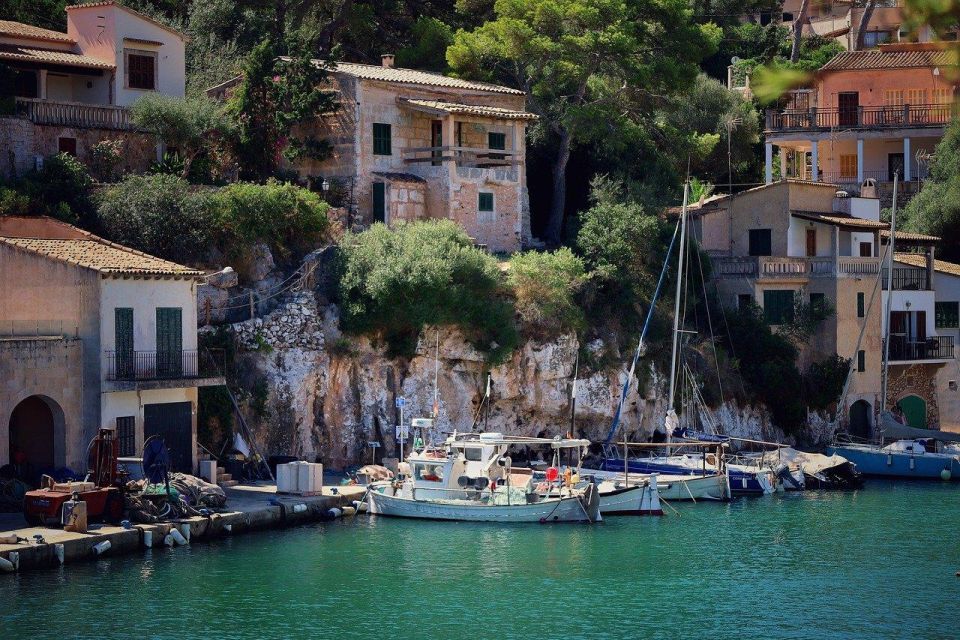 Palma De Mallorca and Valldemossa Private Tour - Tour Guide Expertise