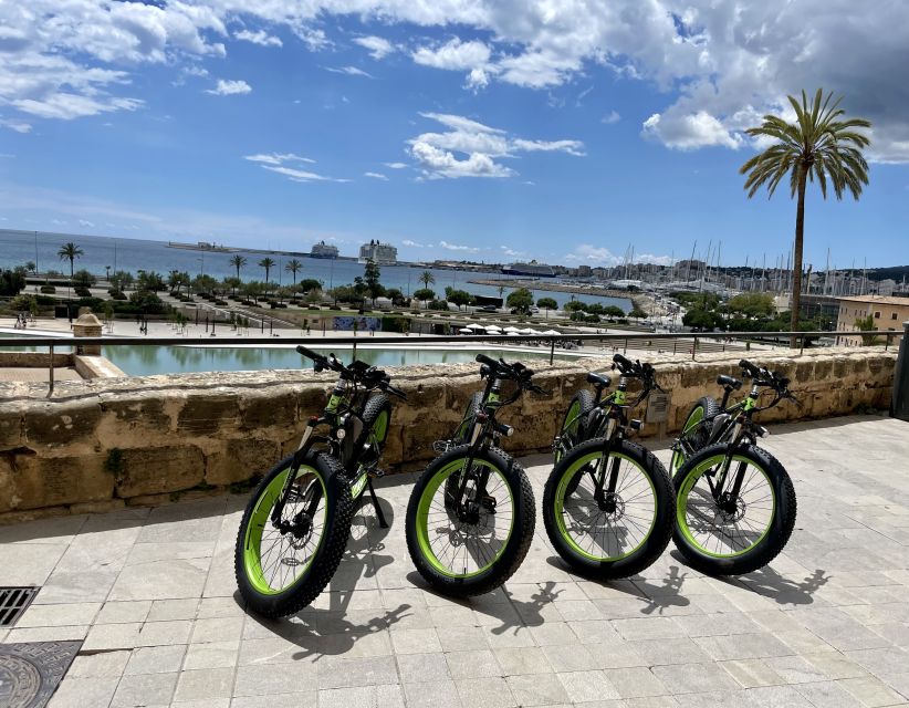Palma: Guided City Tour With a Fat Tire E-Bike - Customer Reviews