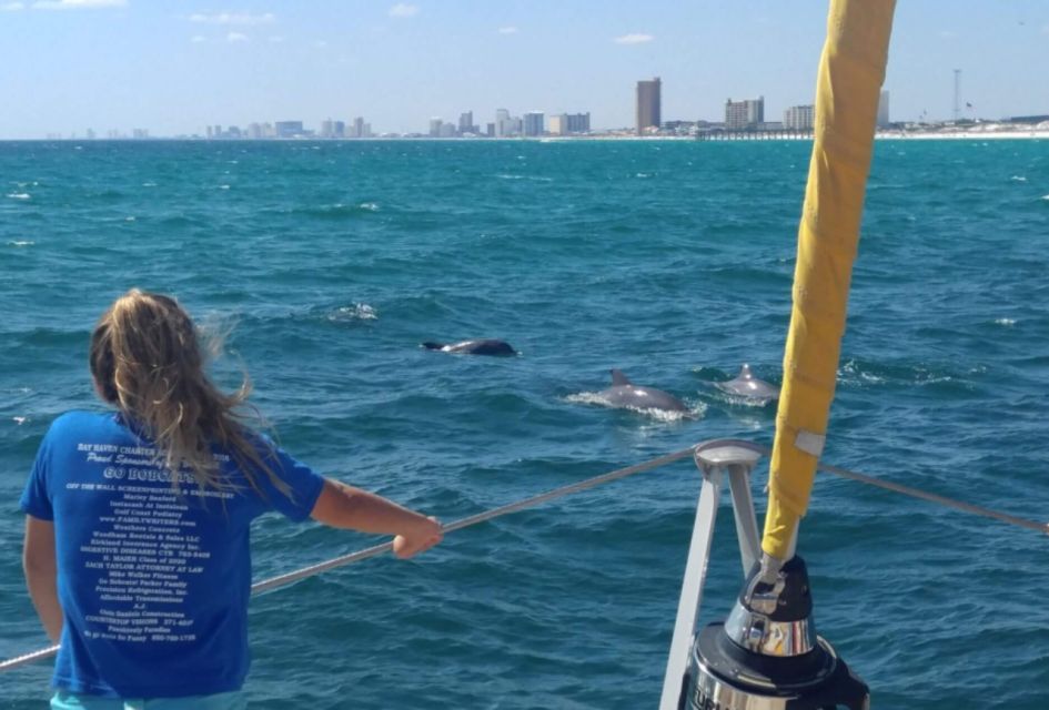 Panama City Beach: Dolphin Watching Trip by Catamaran - Location Details