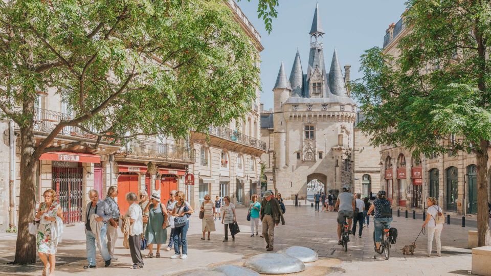 Panoramic Bordeaux Tour in a Premium Vehicule With a Guide - Panoramic Views and Landmarks