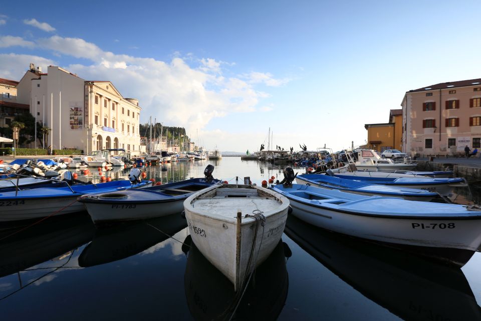 Panoramic Piran and Salt Pans: E-Bike Boutique Tour - Participant Requirements