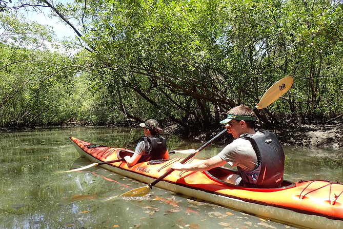 Paraty Sea Kayak Trip (2 Days) - Last Words and Additional Notes