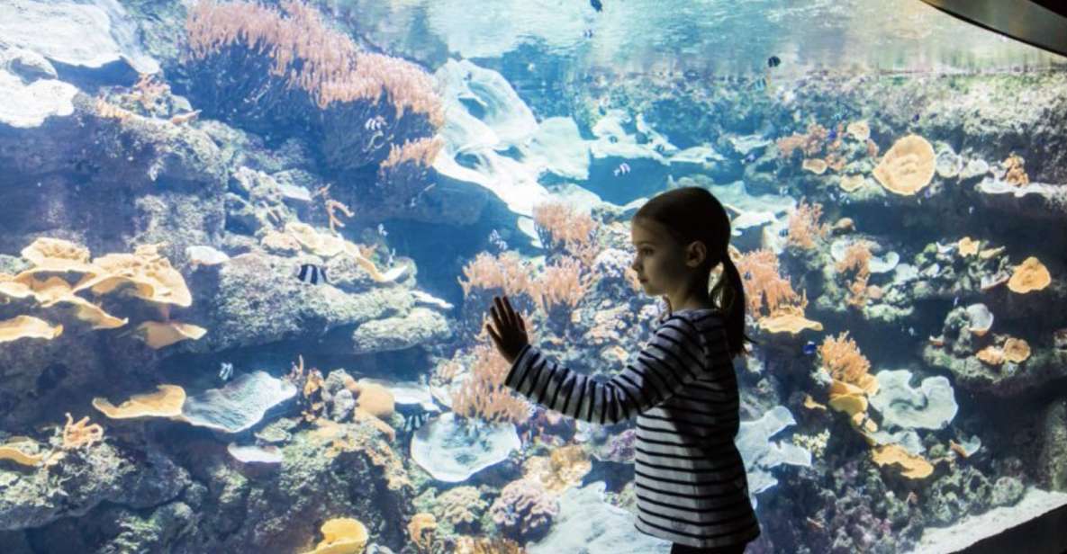 Paris: Aquarium Entry Ticket & Self-Guided Eiffel Tower Tour - Important Information