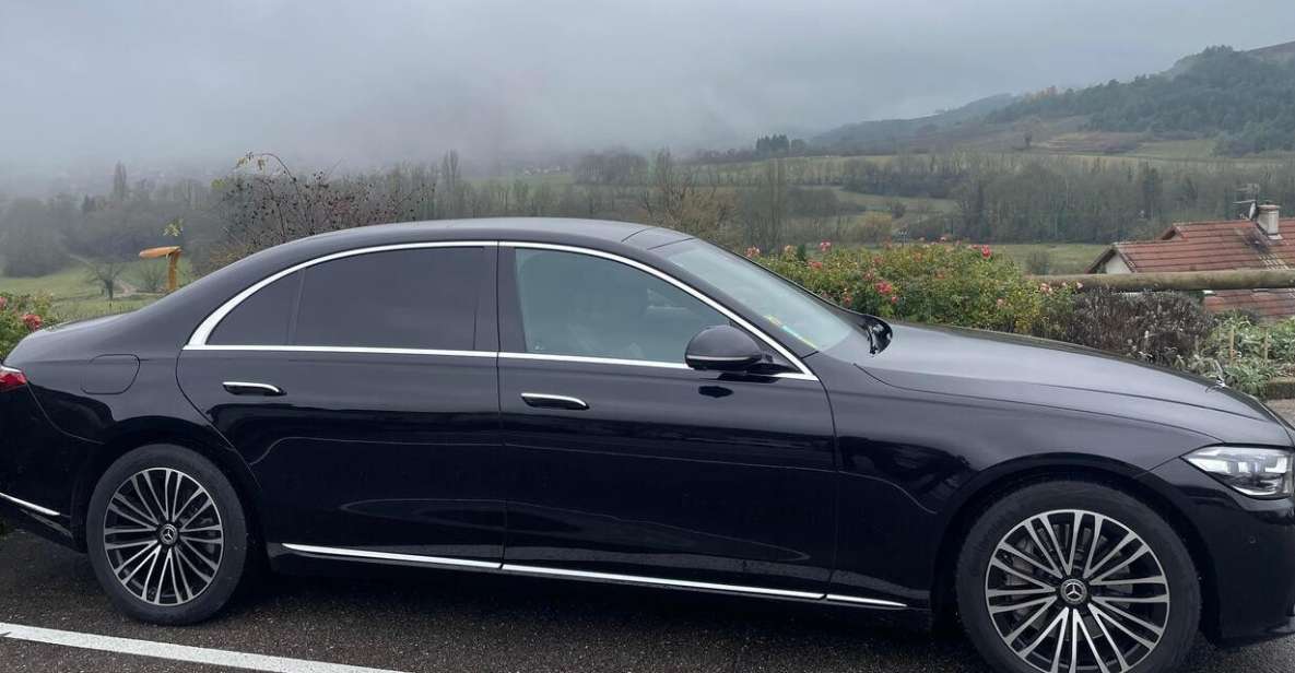 Paris : Luxury Private Transfer to Disneyland - Professional and Reliable Service