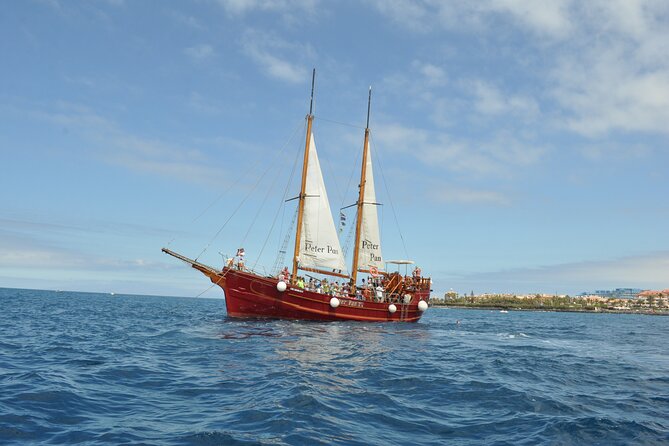 Peter Pan Pirate Boat Trip in Tenerife - Last Words