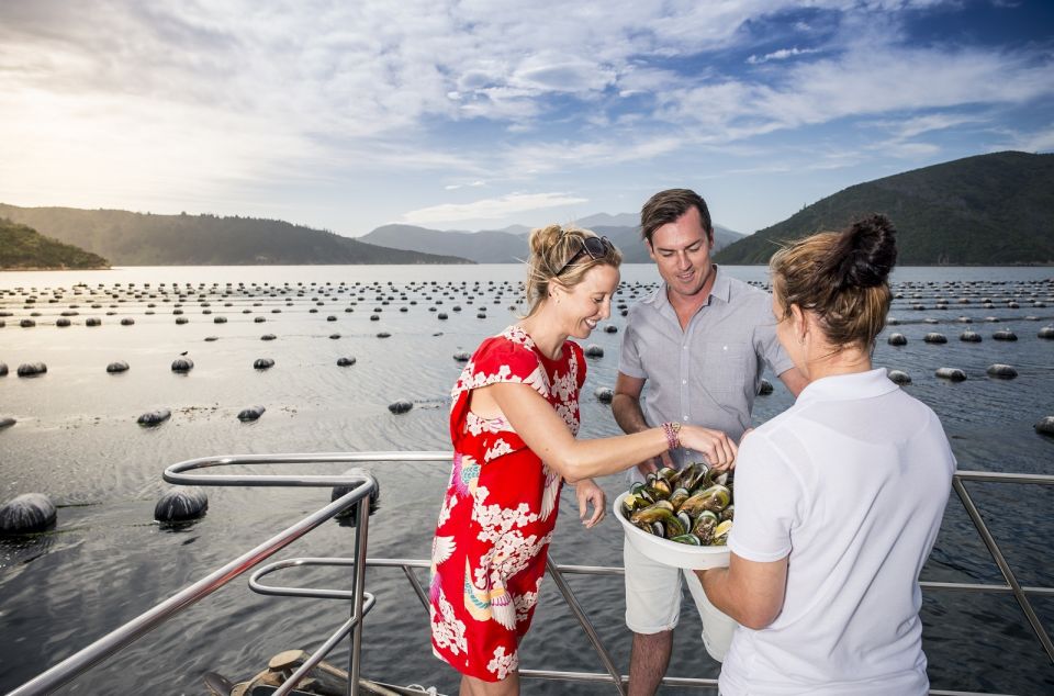 Picton and Marlborough Sounds: Seafood Odyssea Cruise - Booking & Payment