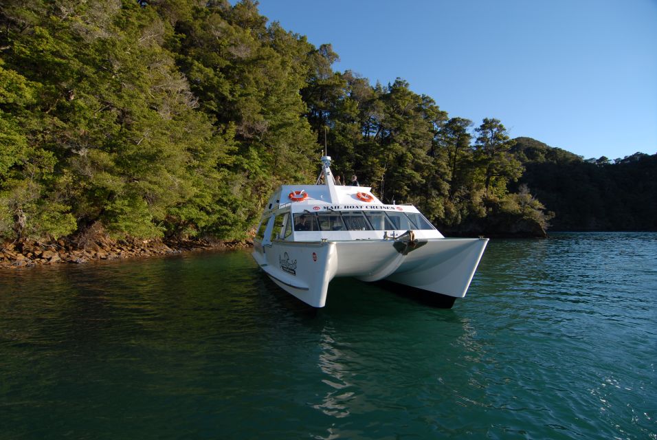 Picton: Queen Charlotte Sounds Sightseeing Cruise - Booking Information
