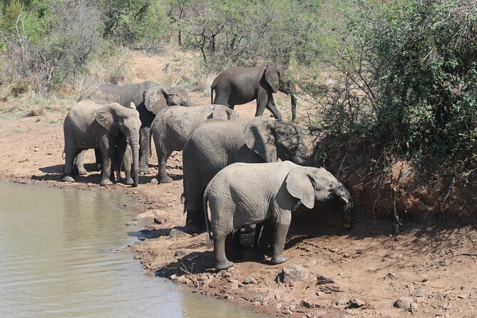 Pilanesberg Nature Reserve - Traveler Reviews and Ratings