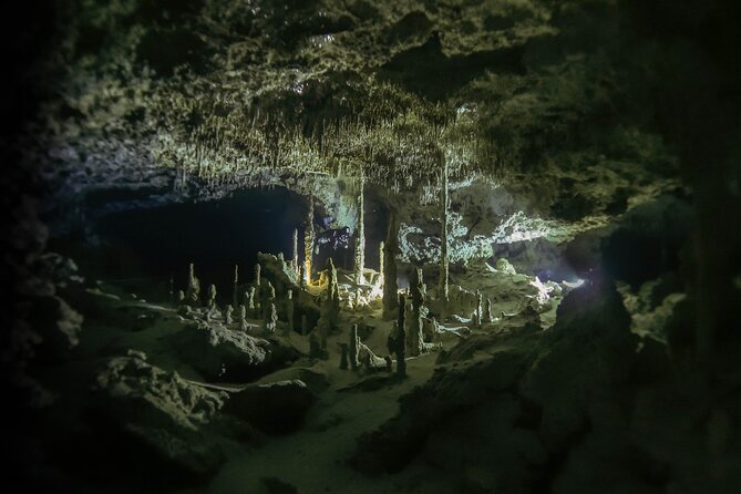 Playa Del Carmen Private Cenote Two Dives for Certified Divers - Common questions