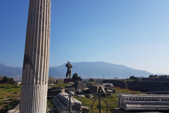 Pompeii and Naples From Rome: Full Day Private Tour With Lunch - Booking Information