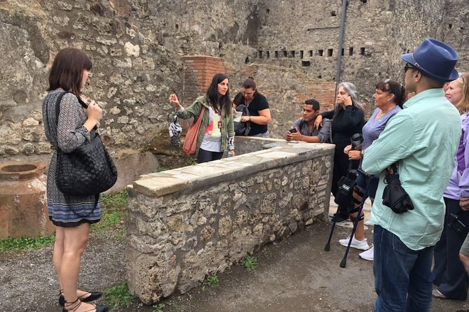 Pompeii and Wine Tasting Tour at the Slopes of the Mt Vesuvius - Pricing and Reviews